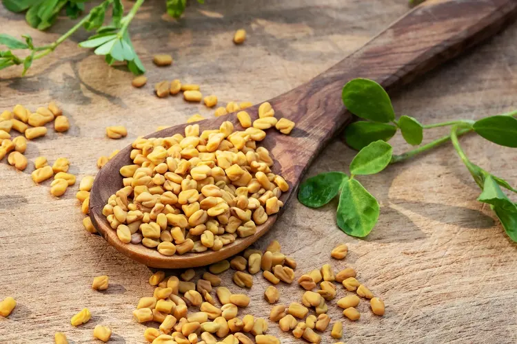 Fenugreek seeds in spoon