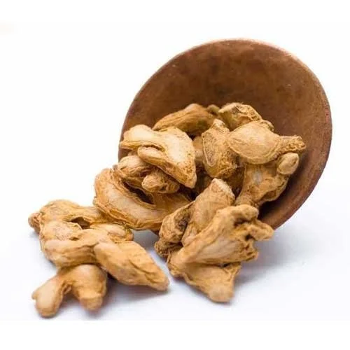Dehydrated ginger with fresh root